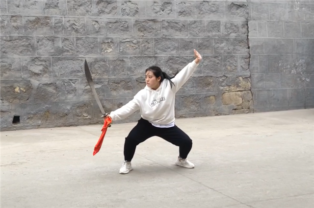 武林大会高手“云”集,尽展校园武术魅力——我校第九届“阳光杯”武术大赛线上开赛